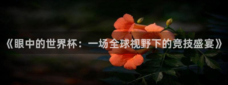 26世界杯:《眼中的世界杯:一场全球视野下的竞技盛宴》