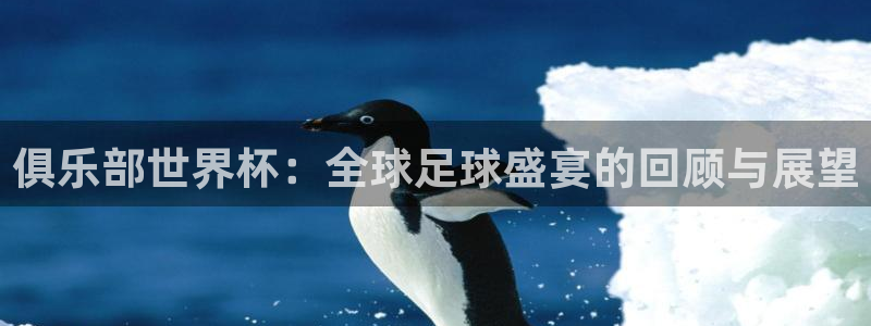 足球世预赛:俱乐部世界杯:全球足球盛宴的回顾与展望