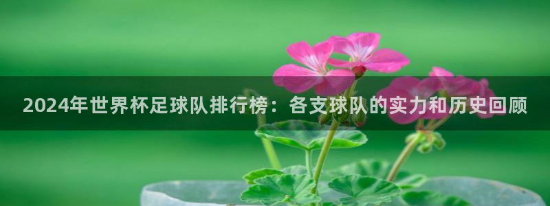 世界直播:2024年世界杯足球队排行榜:各支球队的实力和历史回顾