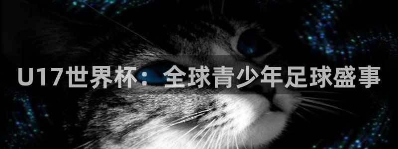 世界杯赛程2026:U17世界杯:全球青少年足球盛事