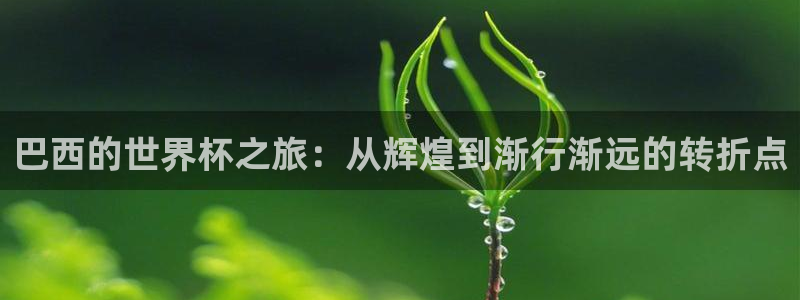 世界杯预选赛排名:巴西的世界杯之旅:从辉煌到渐行渐远的转折点