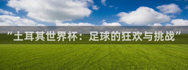 2026年男足世界杯:“土耳其世界杯:足球的狂欢与挑战”