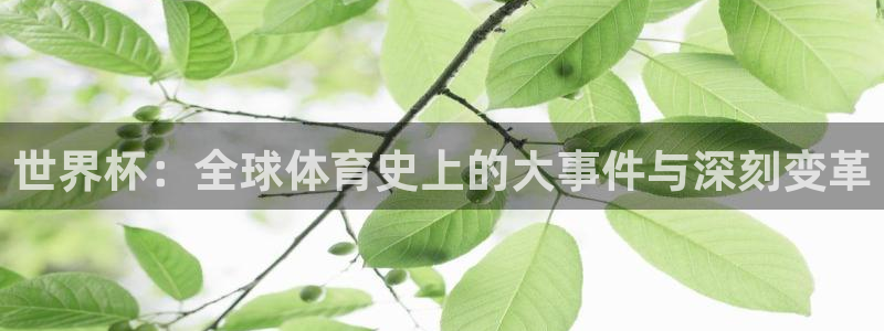 足球世界杯2026年赛程时间表:世界杯:全球体育史上的大事件与深刻变革