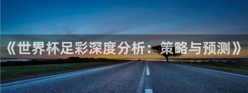 世界杯欧洲预选赛赛程:《世界杯足彩深度分析:策略与预测》